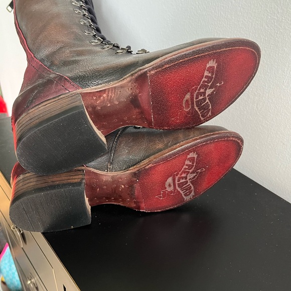 Freebird Raphael - Picture 5 of 5